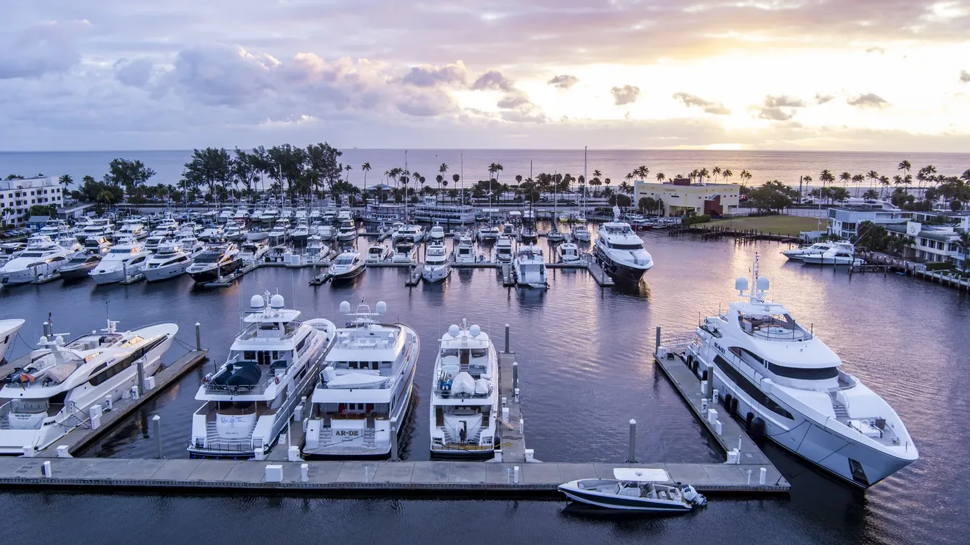 Rows of yachts in a marina at first light, water flat and the sky going gold